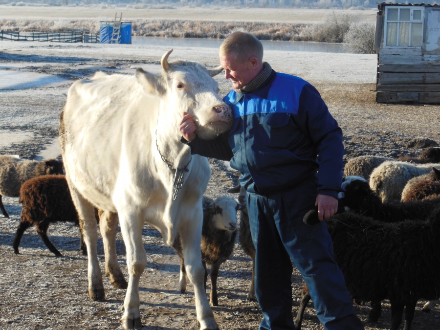55,5 млн рублей будет направлено на поддержку фермерства Нижегородской области в рамках нацпроекта в 2020 году