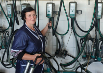 Итоги работы операторов машинного доения коров подвели в Минсельхозпроде НО