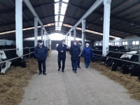 Новый животноводческий двор на 256 голов построили в Вадском районе по госпрограмме