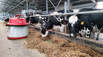 Роботизированная ферма на 825 молочных коров запущена в Борском районе 