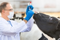 Объявление о проведении дополнительного конкурса по установлению среди организаций, осуществляющих образовательную деятельность по образовательным программам среднего профессионального образования, контрольных цифр приема граждан по специальности из укруп