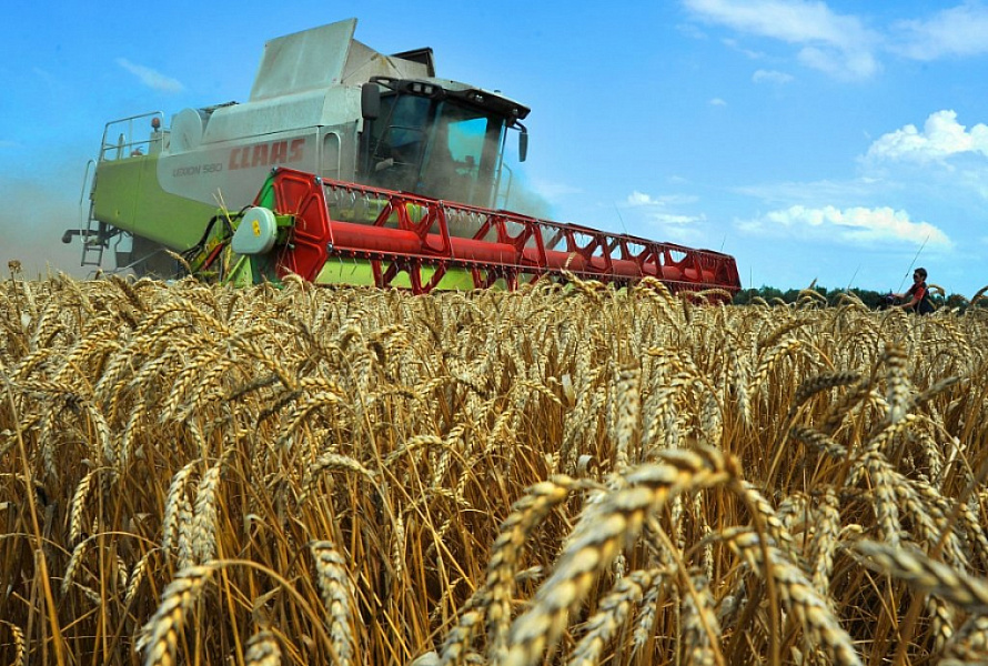 Субсидии в размере 140 млн рублей получили нижегородские аграрии 