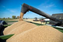 1 млн тонн зерна собран в Нижегородской области