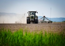 Площадь озимого сева под урожай 2021 года увеличена в Нижегородской области 