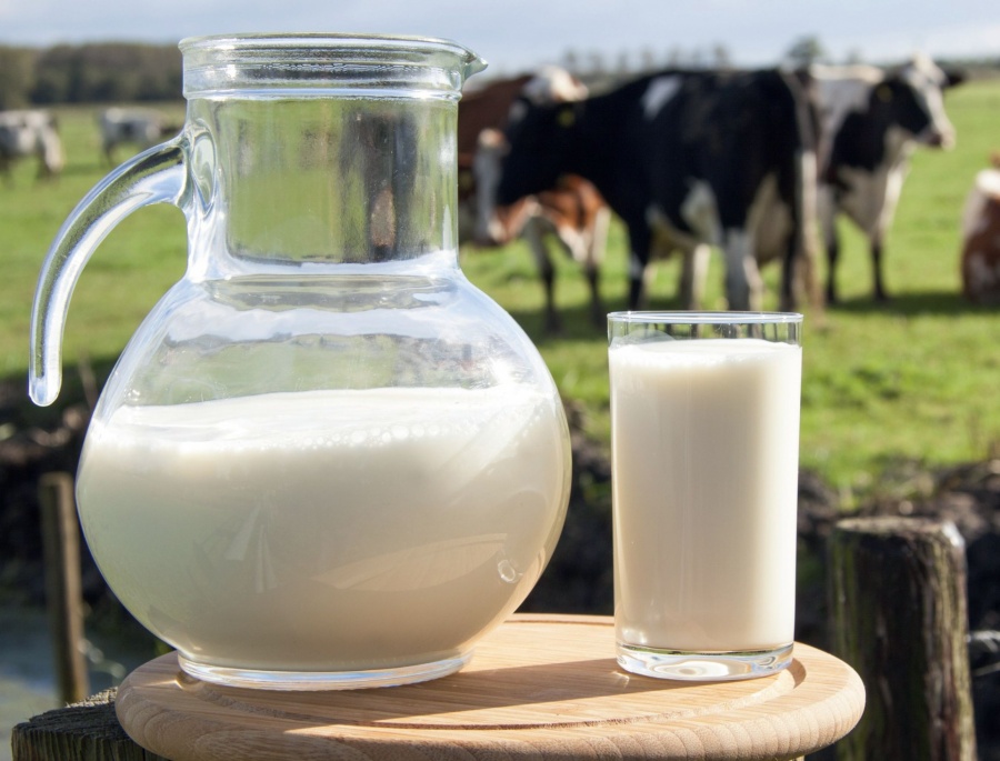 Нижегородские сельхозпроизводители продолжают наращивать производство молока