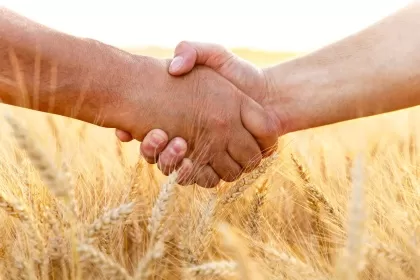 Минсельхоз информирует об утверждении перечня проектов развития кооперации в рамках проекта «Сельхозконтракт»