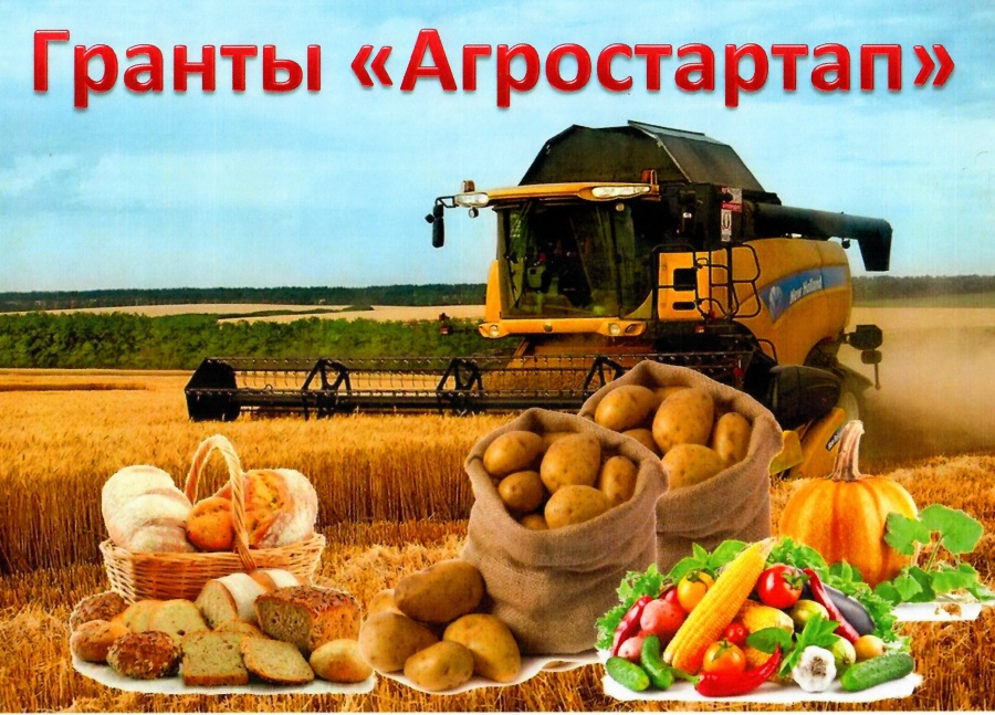 Завершен прием конкурсных заявок от крестьянских (фермерских) хозяйств для предоставления грантов «Агростартап»
