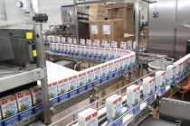 Внедрение бережливых технологий началось в АО «Молоко» в Шахунье