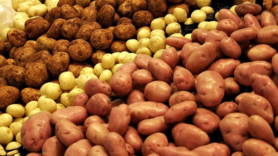 Нижегородская область увеличила экспорт продукции АПК на 13,3%