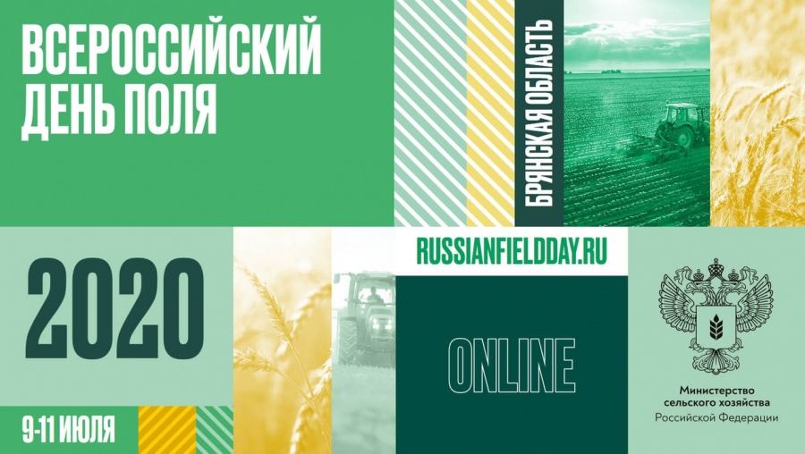 Нижегородская область принимает участие в выставке «Всероссийский день поля» в новом формате