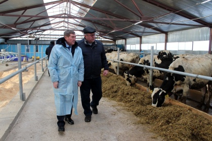 Новая роботизированная ферма на 140 молочных коров запущена в фермерском хозяйстве городского округа г. Арзамас 