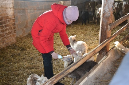 Более 365 миллионов рублей будет направлено на поддержку фермерских хозяйств и сельхозкооперативов в Нижегородской области в 2026 году