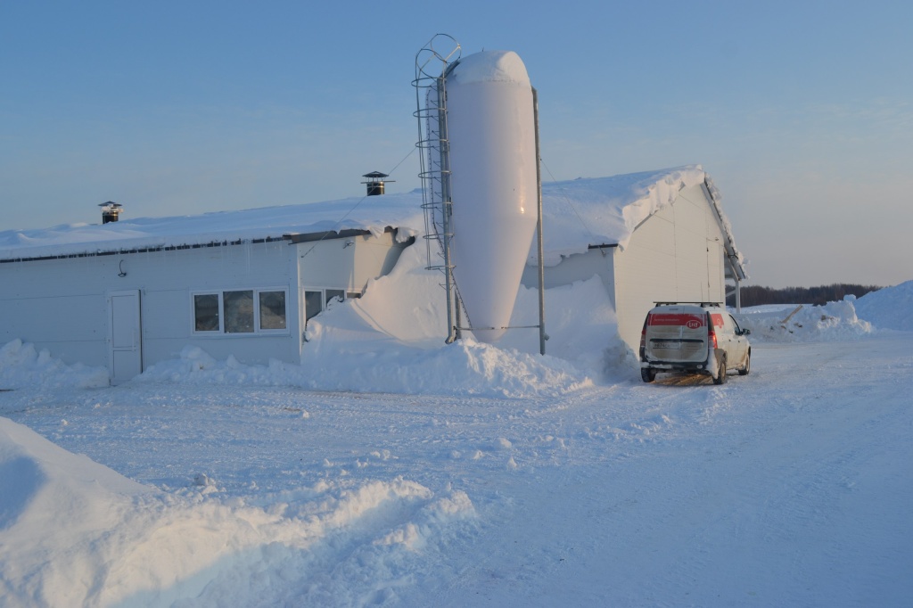 Поддержка_малого_агробизнеса Фото Минсельхоз НО (9).jpg Поддержка_малого_агробизнеса Фото Минсельхоз НО (9).jpg