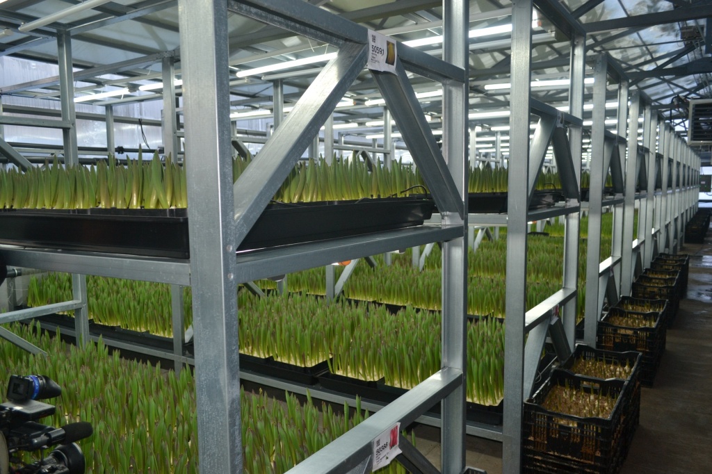 Поддержка_малого_агробизнеса Фото Минсельхоз НО (1).jpg Поддержка_малого_агробизнеса Фото Минсельхоз НО (1).jpg