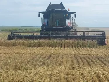 Уборочная кампания стартовала в Нижегородской области