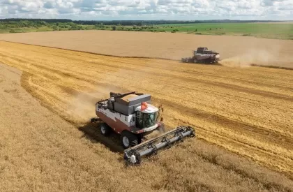 Полмиллиона тонн зерна собрали нижегородские аграрии с начала уборочной кампании