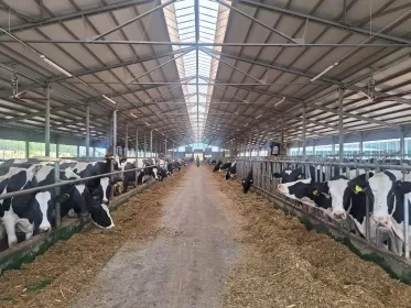 Новая молочная ферма более чем на 1 000 голов построена при господдержке в Бутурлинском округе
