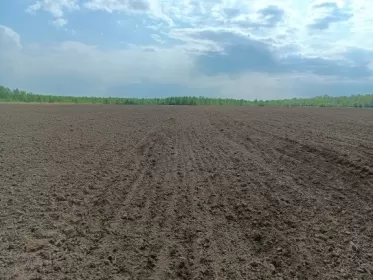 Более восьми тысяч гектаров залежных земель ввели в оборот  нижегородские аграрии в 2025 году