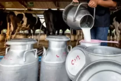 Минсельхоз информирует об утверждении перечня проектов развития производства молока в 2024 году