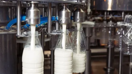 Минсельхоз объявляет об отборе проектов по переработке молока сырого крупного рогатого скота, козьего и овечьего на пищевую продукцию