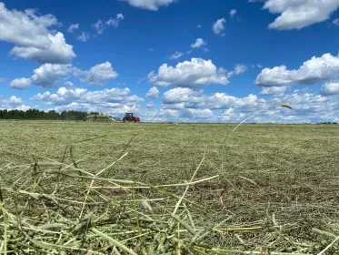 Более половины запланированного объема сена заготовлено в Нижегородской области