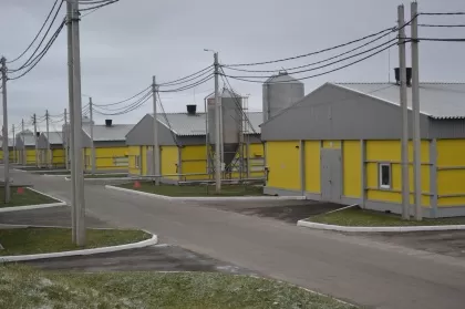 18 новых птичников построены в Вачском округе при господдержке